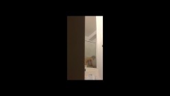 预览图5