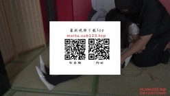 预览图13