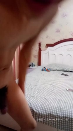 预览图12