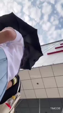 预览图12