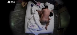 预览图5
