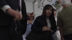 预览图4