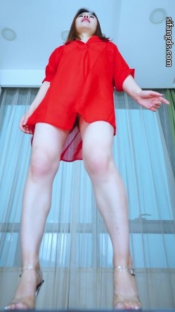 预览图1