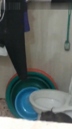 预览图16