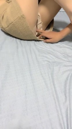 预览图12