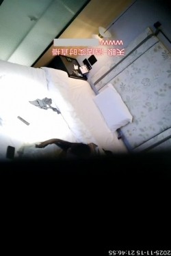 预览图5