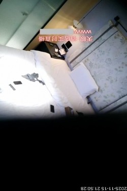 预览图6