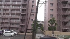 预览图7