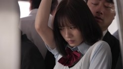 预览图1
