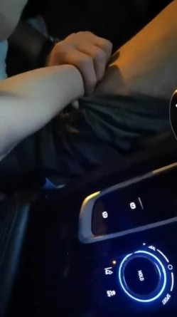 预览图8
