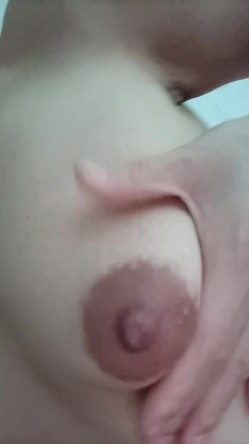 预览图5