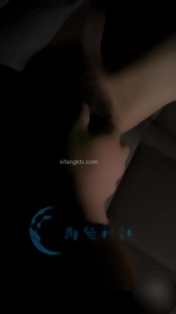 预览图3