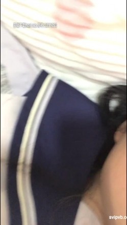 预览图15