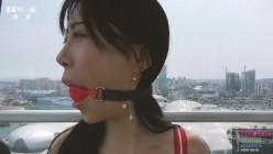 预览图8