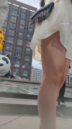 预览图7