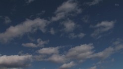 预览图5