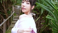 预览图5