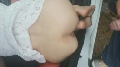 预览图12