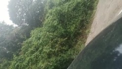 预览图15