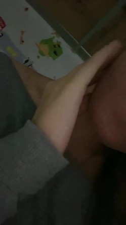 预览图5