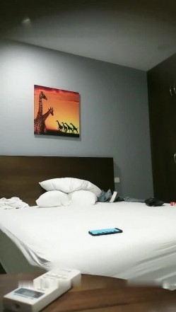 预览图8
