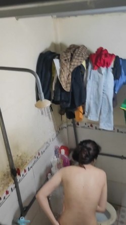 预览图8