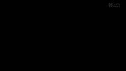 预览图4