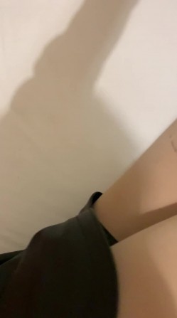 预览图5