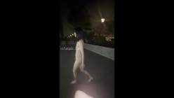 预览图11