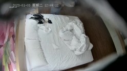 预览图5