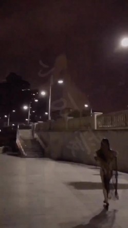 预览图2