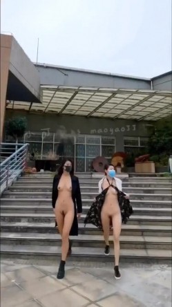 预览图4