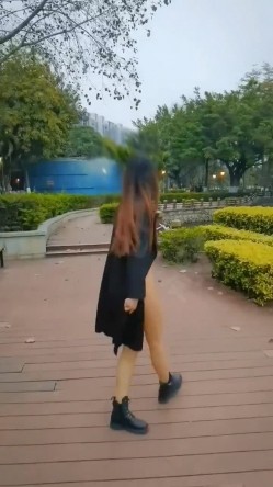 预览图12