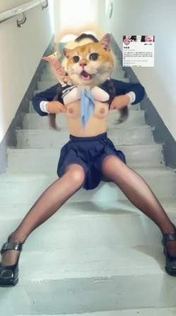 预览图4