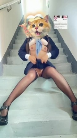 预览图8