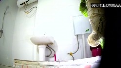 预览图5