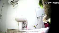 预览图11