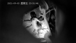 预览图1