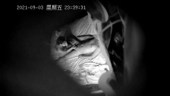 预览图2