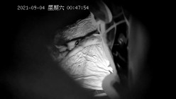 预览图7