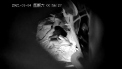预览图8