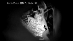预览图9