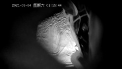 预览图10