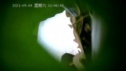 预览图11