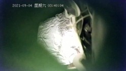 预览图12