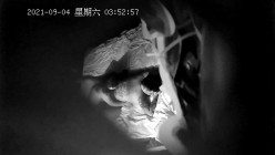 预览图13