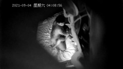 预览图14