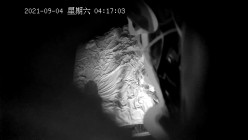 预览图15