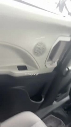 预览图7