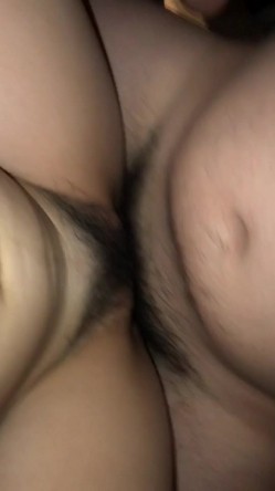 预览图4
